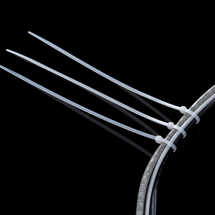 500pcs /Pack 4mm*300mm Nylon Cable Ties - Booster Cable & Clip by PMC TechLife | Online Shopping South Africa | PMC TechLife | Buy Now Pay Later Mobicred
