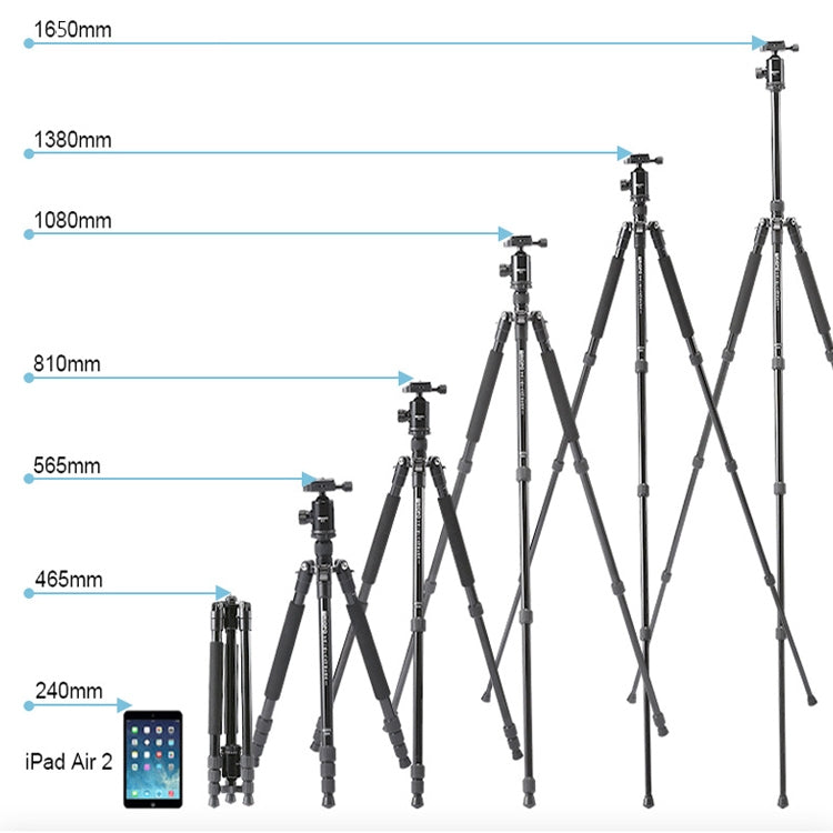 TRIOPO 554 Adjustable Portable  Aluminum Alloy Tripod with D-2A Ball Head for SLR Camera - free shipping - PMC TechLife - Order now!