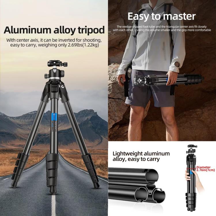 BEXIN TA254-BS30 Portable Collapsible Aluminum Alloy Camera Tripod with Head (Black) - free shipping - PMC TechLife - Order now!