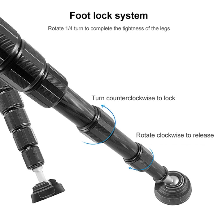 BEXIN P366C Camera Carbon Fiber Monopod Travel Live Selfie Bracket Holder - Monopods by BEXIN | Online Shopping South Africa | PMC TechLife | Buy Now Pay Later Mobicred
