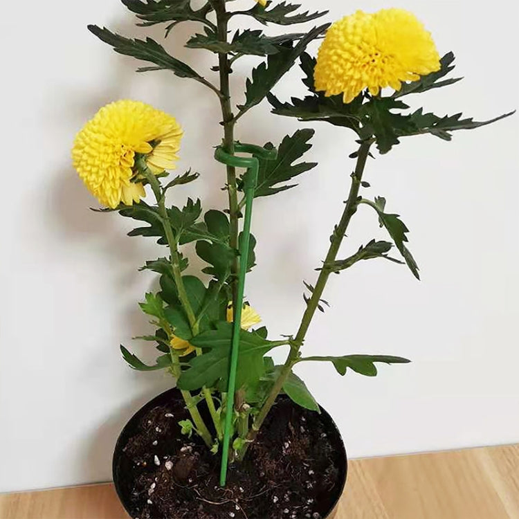 10pcs Plant Potted Flower Shape Support Rod Fixed Anti-lodging Leaf Guard Frame, Size:17cm - Shelves by PMC TechLife | Online Shopping South Africa | PMC TechLife