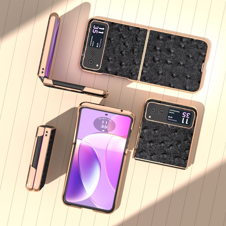 For Motorola Razr 40 Nano Plating Genuine Leather Ostrich Texture Phone Case(Black) - Motorola Cases by PMC TechLife | Online Shopping South Africa | PMC TechLife | Buy Now Pay Later Mobicred
