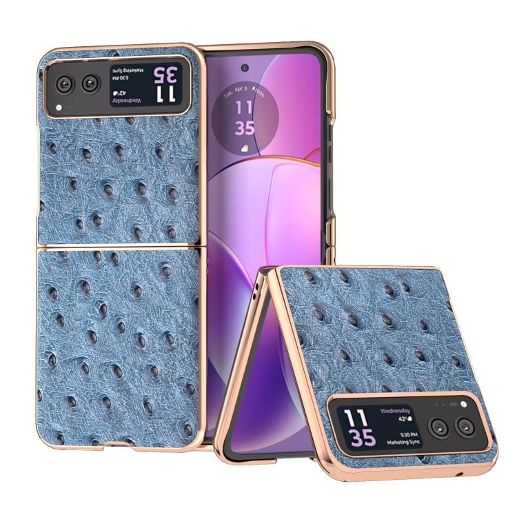 For Motorola Razr 40 Nano Plating Genuine Leather Ostrich Texture Phone Case(Blue) - Motorola Cases by PMC TechLife | Online Shopping South Africa | PMC TechLife | Buy Now Pay Later Mobicred