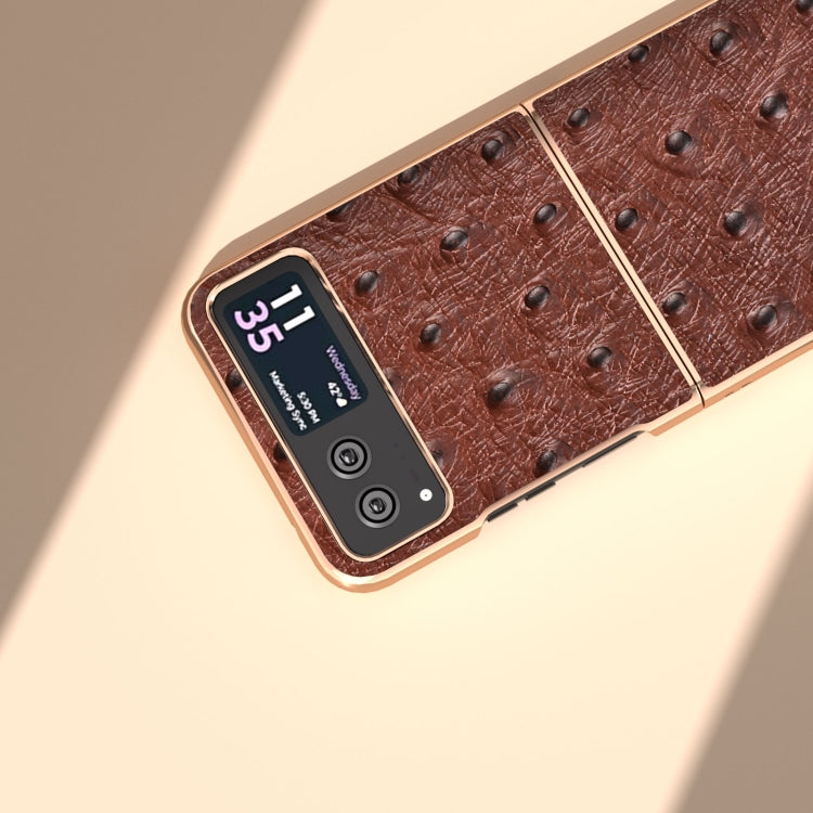 For Motorola Razr 40 Nano Plating Genuine Leather Ostrich Texture Phone Case(Coffee) - Motorola Cases by PMC TechLife | Online Shopping South Africa | PMC TechLife | Buy Now Pay Later Mobicred