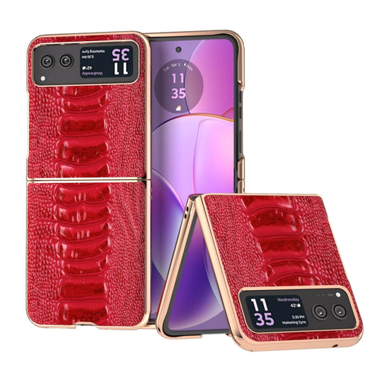 For Motorola Razr 40 Nano Plating Genuine Leather Weilai Series Phone Case(Red) - Motorola Cases by PMC Jewellery | Online Shopping South Africa | PMC Jewellery | Buy Now Pay Later Mobicred