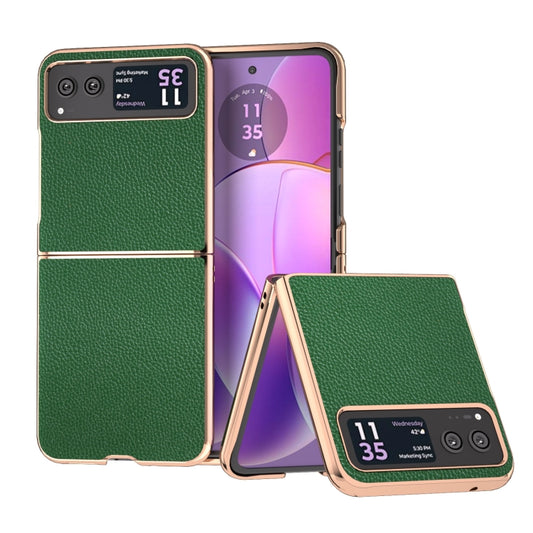 For Motorola Razr 40 Genuine Leather Mino Series Nano Plating Phone Case(Green) - Motorola Cases by PMC Jewellery | Online Shopping South Africa | PMC Jewellery | Buy Now Pay Later Mobicred