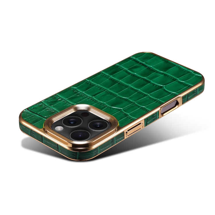 For iPhone 16 Pro Max Denior Crocodile Texture Genuine Leather Electroplating Phone Case(Green) - free shipping - PMC Jewellery - Order now!