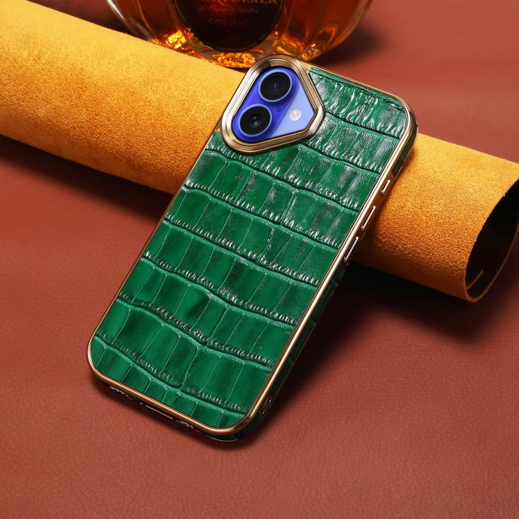 For iPhone 16 Plus Denior Crocodile Texture Genuine Leather Electroplating Phone Case(Green) - free shipping - PMC Jewellery - Order now!