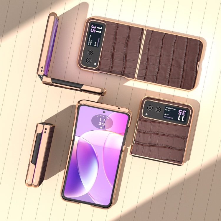 For Motorola Razr 40 Crocodile Texture Genuine Leather Electroplating Phone Case(Brown) - Motorola Cases by PMC TechLife | Online Shopping South Africa | PMC TechLife | Buy Now Pay Later Mobicred