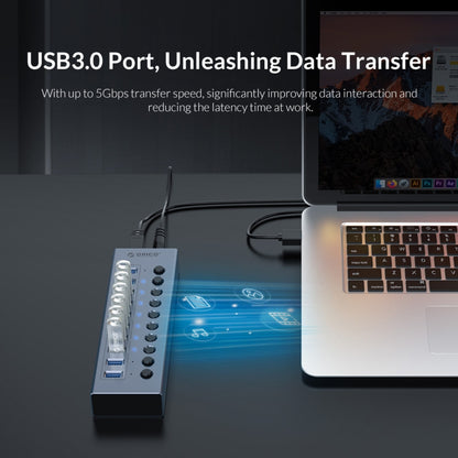 ORICO BT2U3-16AB-GY-BP 16 Ports USB 3.0 HUB with Individual Switches(AU Plug) - USB 3.0 HUB by ORICO | Online Shopping South Africa | PMC Jewellery | Buy Now Pay Later Mobicred