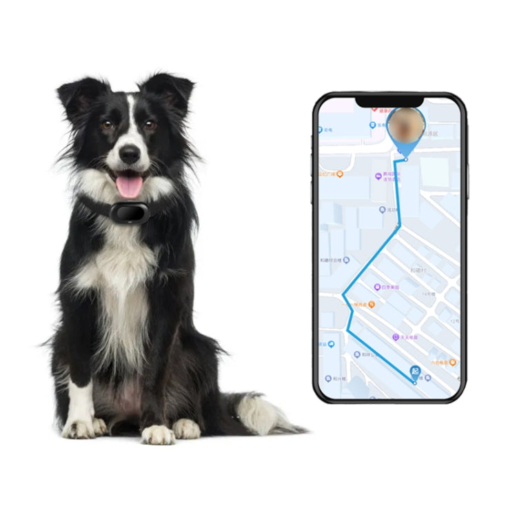 V41 Smart GPS Tracker IP67 Waterproof Pet Anti-loss Positioner, Version:2G Version(Black) - Pet Tracker by PMC TechLife | Online Shopping South Africa | PMC TechLife