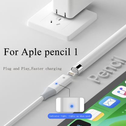 For Apple Pencil 1 USB-C / Type-C to 8 Pin Stylus Charging Cable with Indicator Light, Length:1m(White) - Pencil Accessories by PMC Jewellery | Online Shopping South Africa | PMC Jewellery | Buy Now Pay Later Mobicred