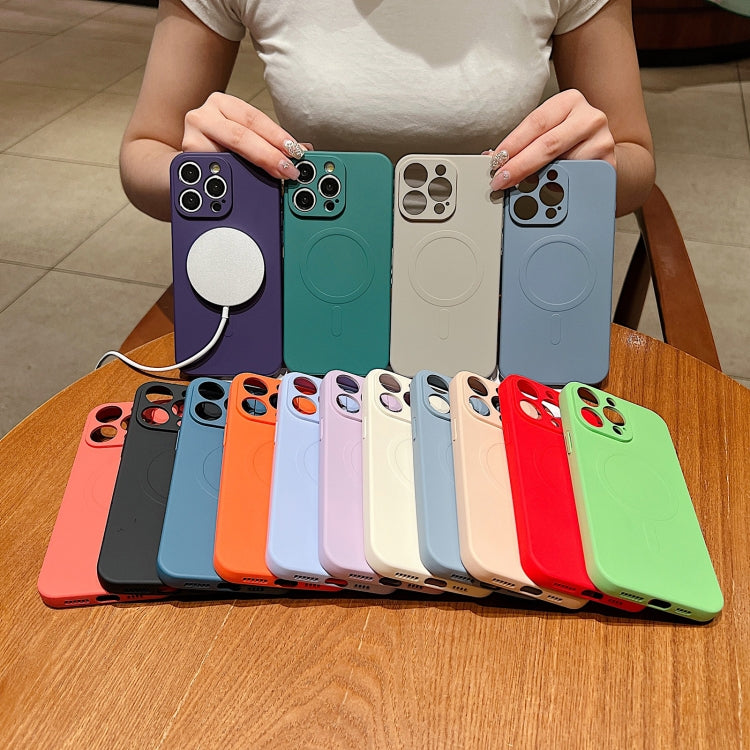 For iPhone 16e Solid Color Liquid Silicone MagSafe Magnetic Phone Case(Black) - iPhone 16e Cases by PMC TechLife | Online Shopping South Africa | PMC TechLife | Buy Now Pay Later Mobicred