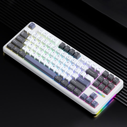 AULA F87 87 Keys Wired/2.4G/Bluetooth Three Model Customized RGB Mechanical Keyboard(White Grey Blue) - Wireless Keyboard by AULA | Online Shopping South Africa | PMC Jewellery | Buy Now Pay Later Mobicred