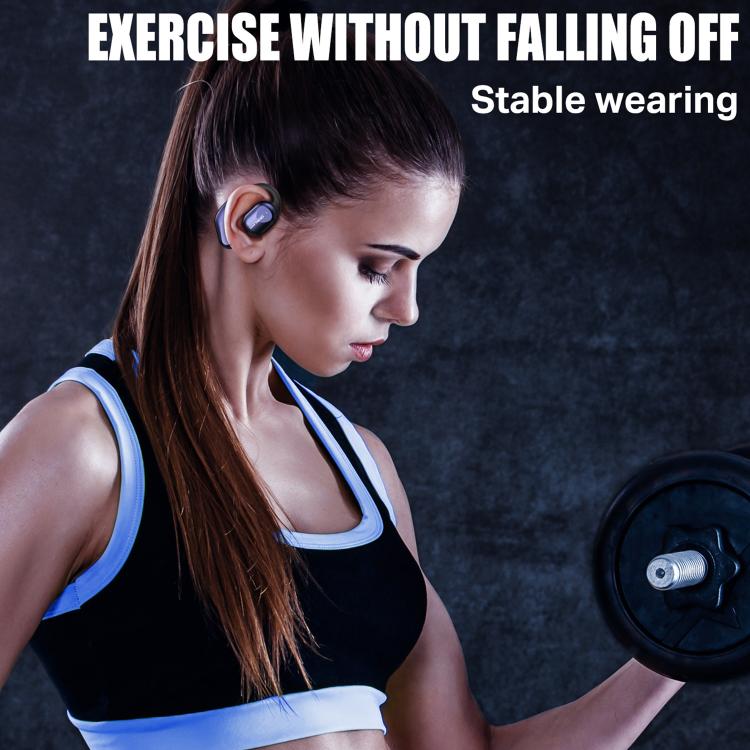 EDA007965701A_7.jpg@04d2a01a1071b8f445cb8d09b766687d