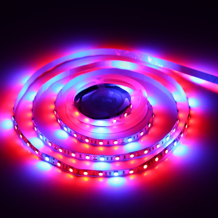 4:1 2m Bare Board 5050 SMD RGB LED Rope Light, 12V 2A 100-240V (AU Plug) - Bare Board Light by PMC TechLife | Online Shopping South Africa | PMC TechLife | Buy Now Pay Later Mobicred