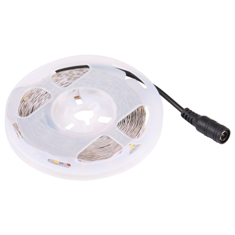 Bare Board 2835 SMD Dimmable White Light / Warm Light LED Rope Light, 60 LED/m, Length: 5m, 12V 2A 100-240V(UK Plug) - Bare Board Light by PMC TechLife | Online Shopping South Africa | PMC TechLife | Buy Now Pay Later Mobicred