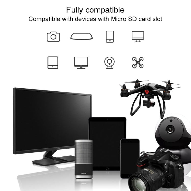 MC5486_7.jpg@dd72970607bfe953a67a99bbbfaa4de6