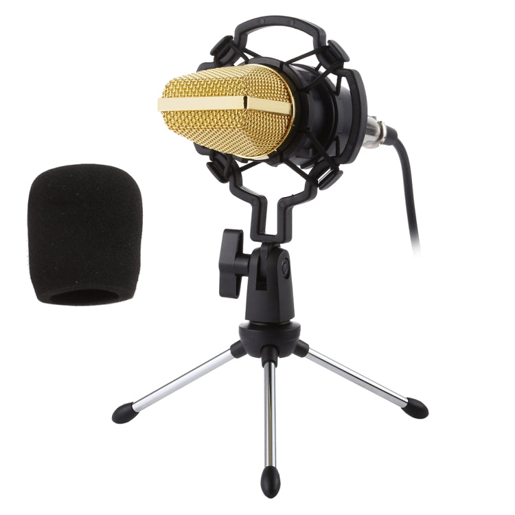 BM-700 USB Professional Condenser Microphone - Microphone by PMC Jewellery | Online Shopping South Africa | PMC Jewellery | Buy Now Pay Later Mobicred