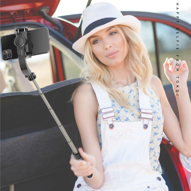 L08 Adjustable Gimbal Stabilize Bluetooth Self-timer Pole Tripod Selfie Stick (Black) - Selfie Sticks by PMC Jewellery | Online Shopping South Africa | PMC Jewellery | Buy Now Pay Later Mobicred