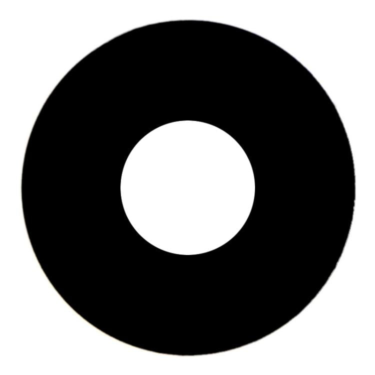 For iPad mini 6 2021 Back Camera Lens - free shipping - PMC TechLife - Order now!