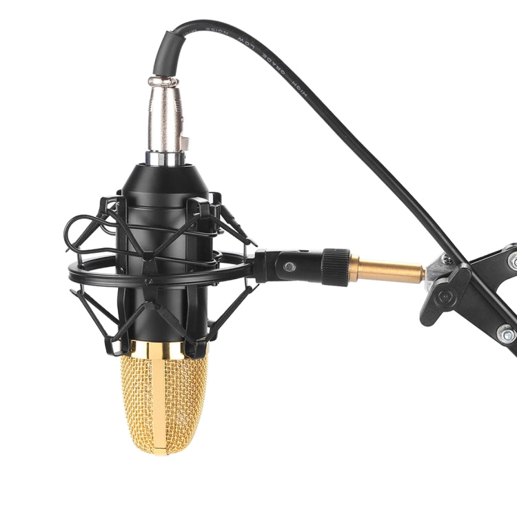 FIFINE F-700 Professional Condenser Sound Recording Microphone with Shock Mount for Studio Radio Broadcasting & Live Boardcast, 3.5mm Earphone Port, Cable Length: 2.5m(Black) - Microphone by PMC Jewellery | Online Shopping South Africa | PMC Jewellery | Buy Now Pay Later Mobicred