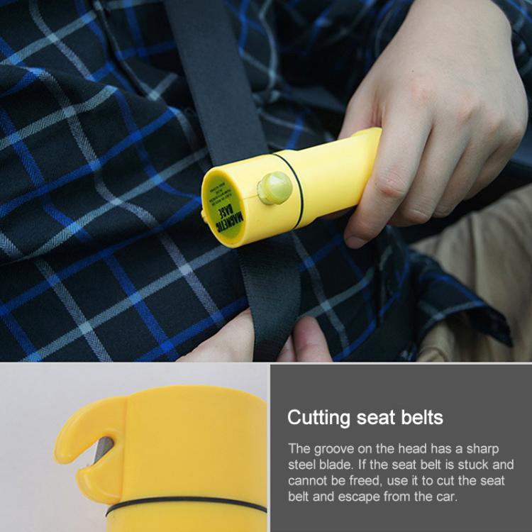 S-CMS-2384_6.jpg@9a0fb9c9bfaea81707cca7c051a288b4