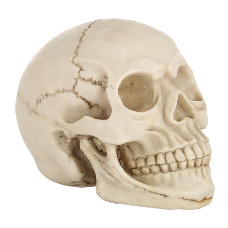 Skull Head Hallowmas Prop Gadget Display, Size: 19(L) x 13(W) x 14cm(H)(White) - Halloween Prop Decorations by PMC Jewellery | Online Shopping South Africa | PMC Jewellery | Buy Now Pay Later Mobicred