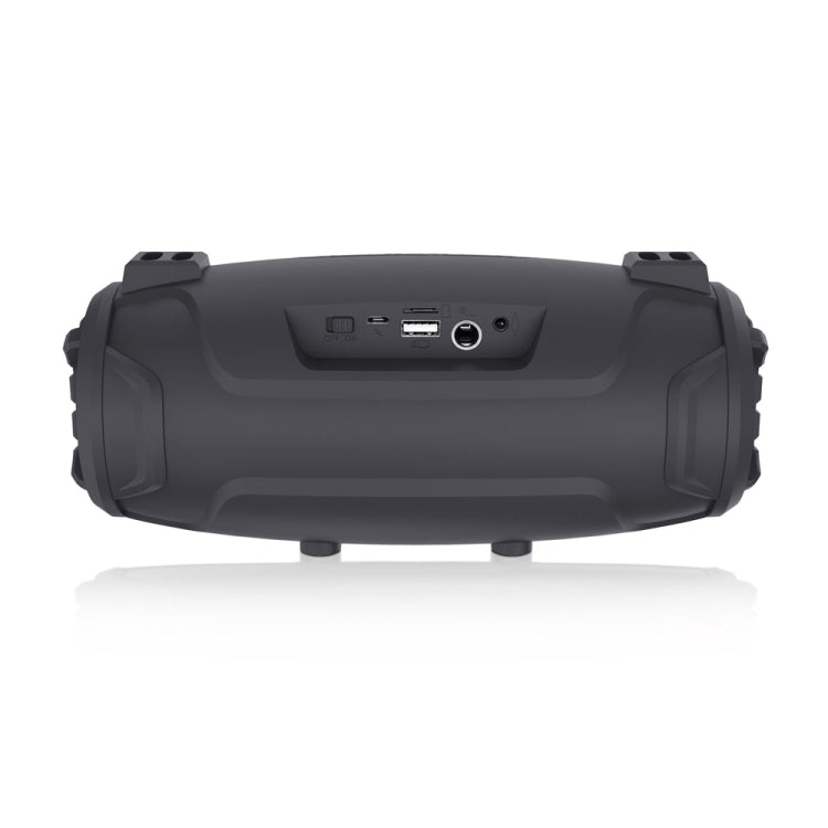 NewRixing NR3026M TWS Outdoor Portable K-song Bluetooth Speaker with Shoulder Strap & Microphone, Support TF Card / FM(Black) - Desktop Speaker by NewRixing | Online Shopping South Africa | PMC Jewellery | Buy Now Pay Later Mobicred