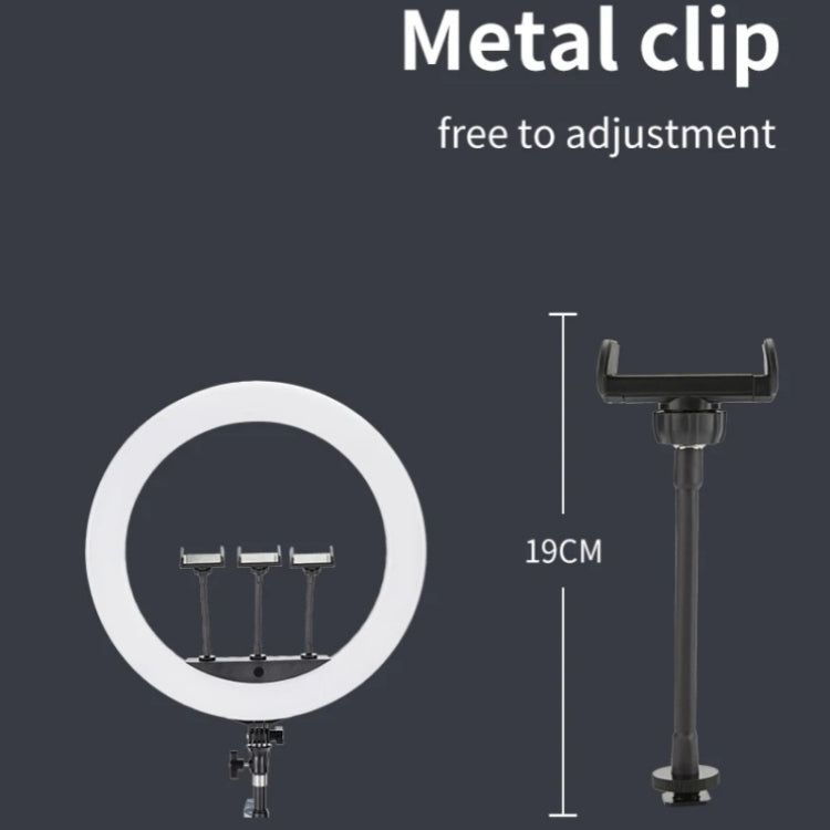 JMARY FM-21R With Remote Control Phone Clip 21-inch Dimmable LED Ring Light(US Plug) - free shipping - PMC TechLife - Order now!