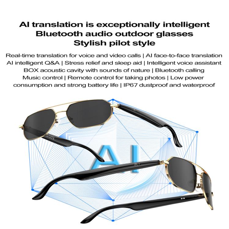 W100C Smart Glasses, Support AI Conversation / AI Intelligent Translation / Bluetooth Call(Black) - free shipping - PMC TechLife - Order now!