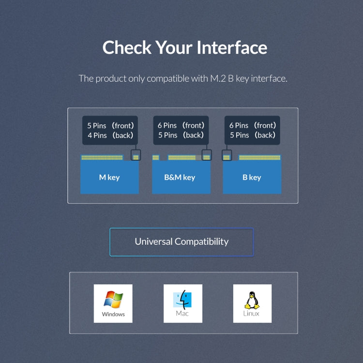 ORICO PVM2F-C3  NGFF M.2 SSD Hard Drive Enclosure - HDD Enclosure by ORICO | Online Shopping South Africa | PMC Jewellery | Buy Now Pay Later Mobicred