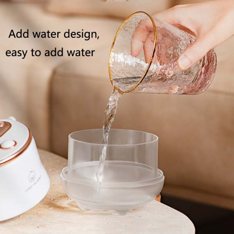 F08 Wired Water Replenishing Double Spray Humidifier LED Night Light Humidifier(White) - free shipping - PMC TechLife - Order now!