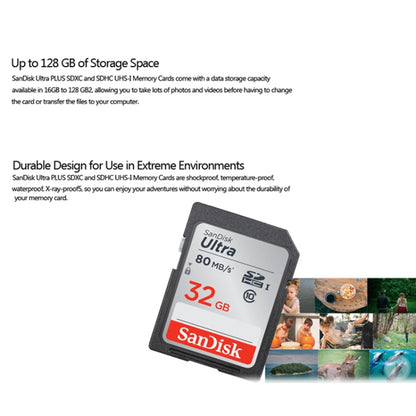 SanDisk Video Camera High Speed Memory Card SD Card, Colour: Silver Card, Capacity: 32GB - SD Card by SanDisk | Online Shopping South Africa | PMC Jewellery | Buy Now Pay Later Mobicred