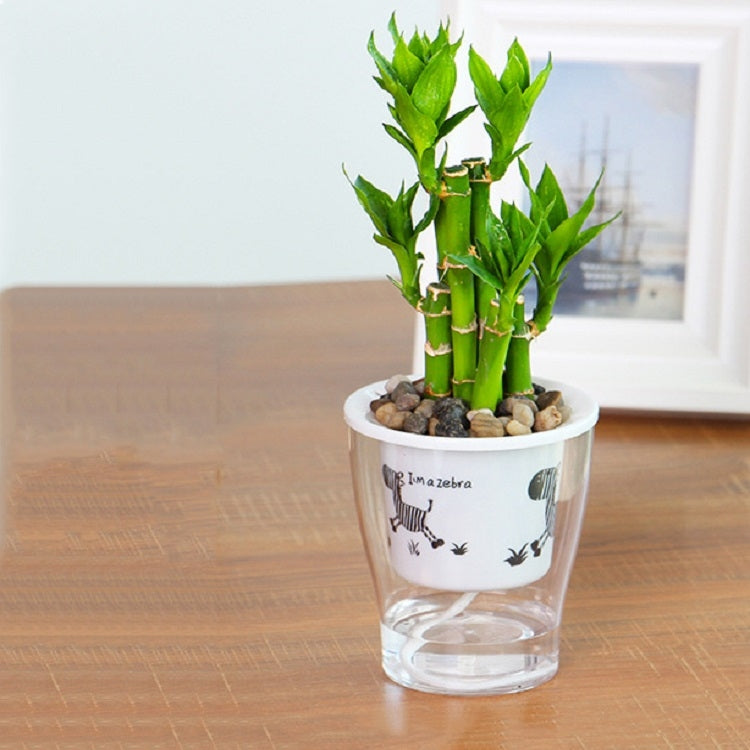 Fully Transparent Hydroponic Flower Pots Water Level Visible Non-Broken Glue Self-Absorbent Plastic Flower Pots, Size: W10 Caliber 17.5cm(Full Transparent Zebra Pattern) - Flower Pots & Planters by PMc TechLife | Online Shopping South Africa | PMc TechLife | Buy Now Pay Later Mobicred
