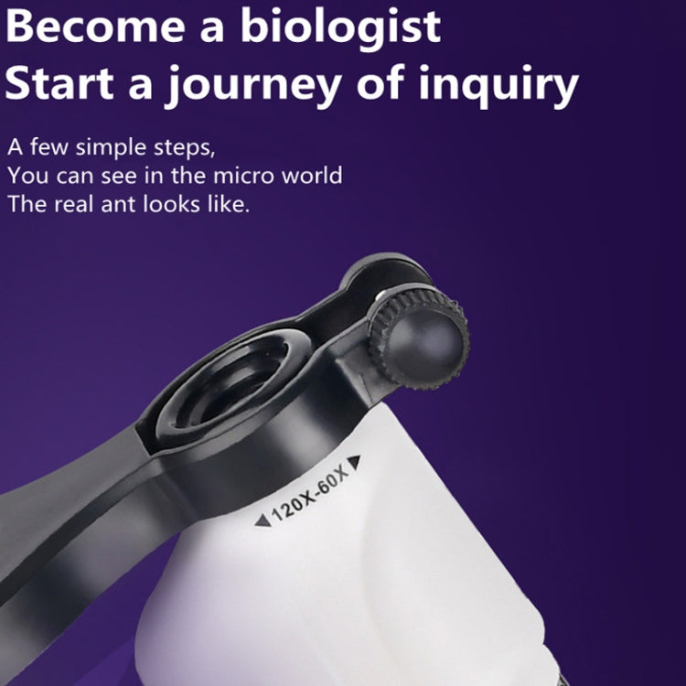 Children Handheld Portable Laboratory Equipment Microscope Toys, Colour: Lite + Specimen (Blue) - free shipping - PMC TechLife - Order now!