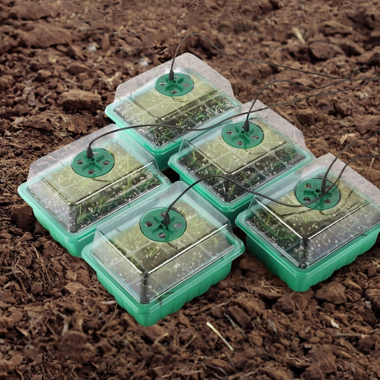 5 Set Plant Seed Starter Trays Kit,Seedling Tray Starter With Grow Light(Green) - free shipping - PMC TechLife - Order now!