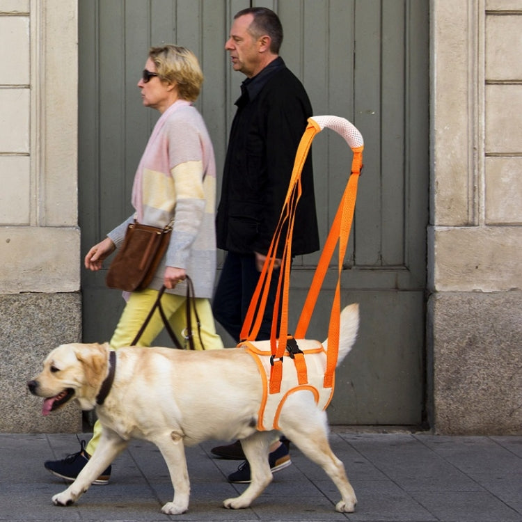 Pet Leash Assistive Belt For Postoperative Disabled Elderly Dogs Front Legs M - Leashes & Chest Strap by PMC TechLife | Online Shopping South Africa | PMC TechLife | Buy Now Pay Later Mobicred