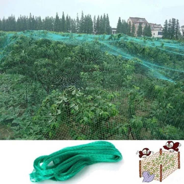 4Mx5M  Anti Bird Protection Net Mesh Garden Plant Netting Protect Plants and Fruit - Garden Netting by PMC Jewellery | Online Shopping South Africa | PMC Jewellery