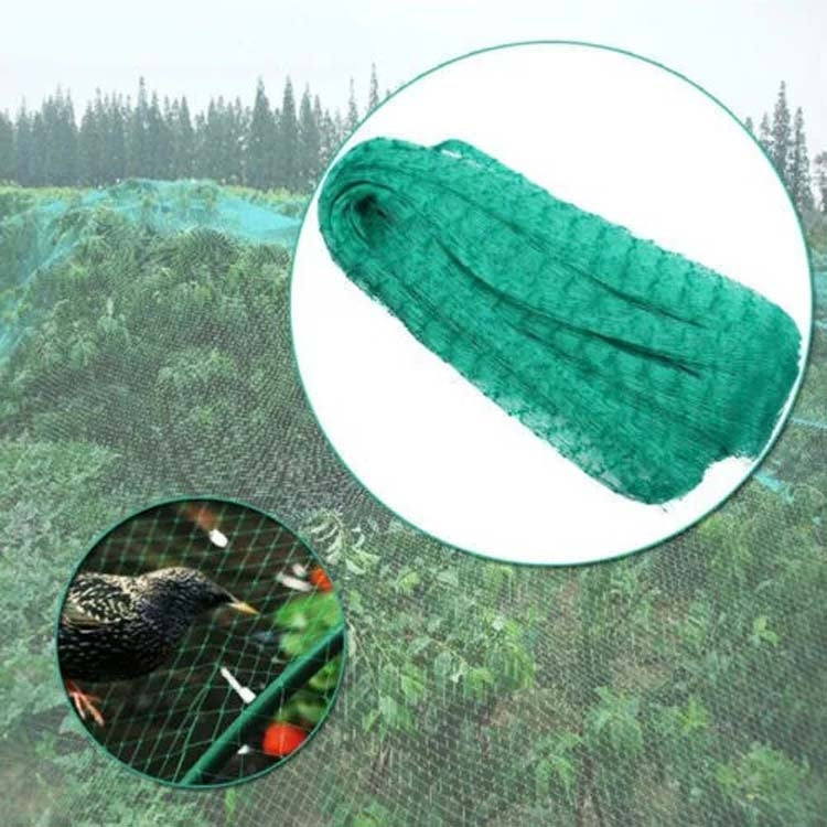 4Mx5M  Anti Bird Protection Net Mesh Garden Plant Netting Protect Plants and Fruit - Garden Netting by PMC TechLife | Online Shopping South Africa | PMC TechLife | Buy Now Pay Later Mobicred