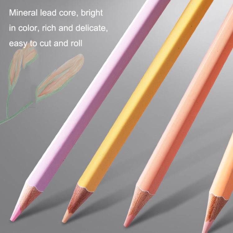 36 Colors Oily Bright Color Pencil Studio Special Set Macaron - Art Supplies by PMC TechLife | Online Shopping South Africa | PMC TechLife | Buy Now Pay Later Mobicred