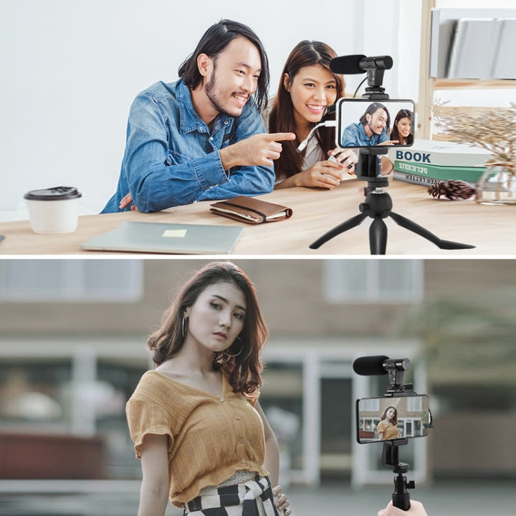 Video Recording Live Camera Mobile Conference Recording Microphone(Black) - Microphone by PMC TechLife | Online Shopping South Africa | PMC TechLife | Buy Now Pay Later Mobicred