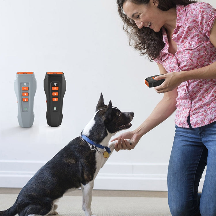 LED Flashing Light Handheld Ultrasonic Bark Arrester Frequency Conversion Dog Training Device(Dark Gray) - Training Aids by PMC TechLife | Online Shopping South Africa | PMC TechLife | Buy Now Pay Later Mobicred