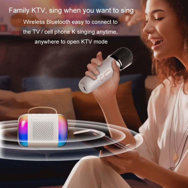 Y5 1 Microphone Portable Bluetooth Speaker Home And Outdoor Wireless Karaoke Audio(Black) - Microphone by PMC TechLife | Online Shopping South Africa | PMC TechLife | Buy Now Pay Later Mobicred