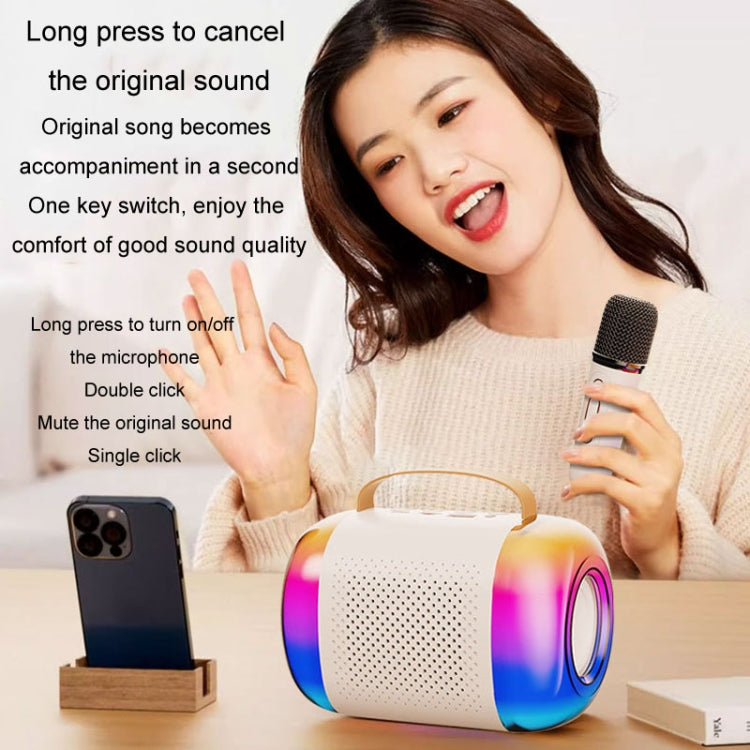 Y5 2 Microphone Portable Bluetooth Speaker Home And Outdoor Wireless Karaoke Audio(Black) - Microphone by PMC TechLife | Online Shopping South Africa | PMC TechLife | Buy Now Pay Later Mobicred