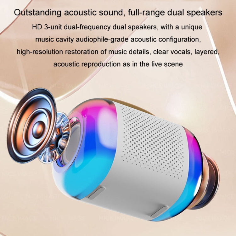 Y5 2 Microphone Portable Bluetooth Speaker Home And Outdoor Wireless Karaoke Audio(Black) - Microphone by PMC TechLife | Online Shopping South Africa | PMC TechLife | Buy Now Pay Later Mobicred