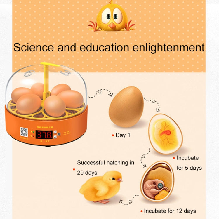 6-Eggs Small Household Experimental Children Smart Chicken Incubators, Spec: Dual-electric Automatic UK Plug - Incubators by PMC Jewellery | Online Shopping South Africa | PMC Jewellery