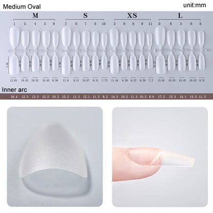 10pairs Of 100pcs/Box Frosted False Nails Artificial Tip, Shape: Medium Oval S - Nail Stickers by PMC Jewellery | Online Shopping South Africa | PMC Jewellery | Buy Now Pay Later Mobicred