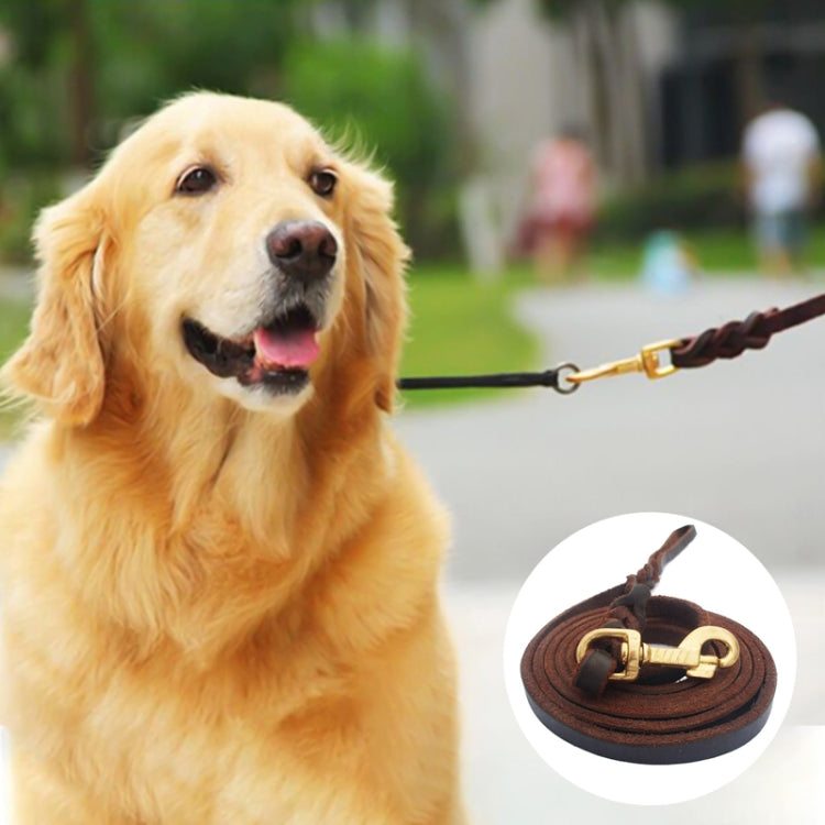 1.2 x 300cm Pet Outing Cowhide Towing Leash Dog Training Harness(Bronze Hook) - Leashes & Chest Strap by PMC TechLife | Online Shopping South Africa | PMC TechLife | Buy Now Pay Later Mobicred