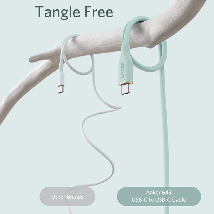 ANKER A8552 Powerline III 0.9m Skin Friendly Dual Type-C Data Cable PD100W Fast Charging Cable(Black) - USB-C & Type-C Cable by ANKER | Online Shopping South Africa | PMC TechLife | Buy Now Pay Later Mobicred